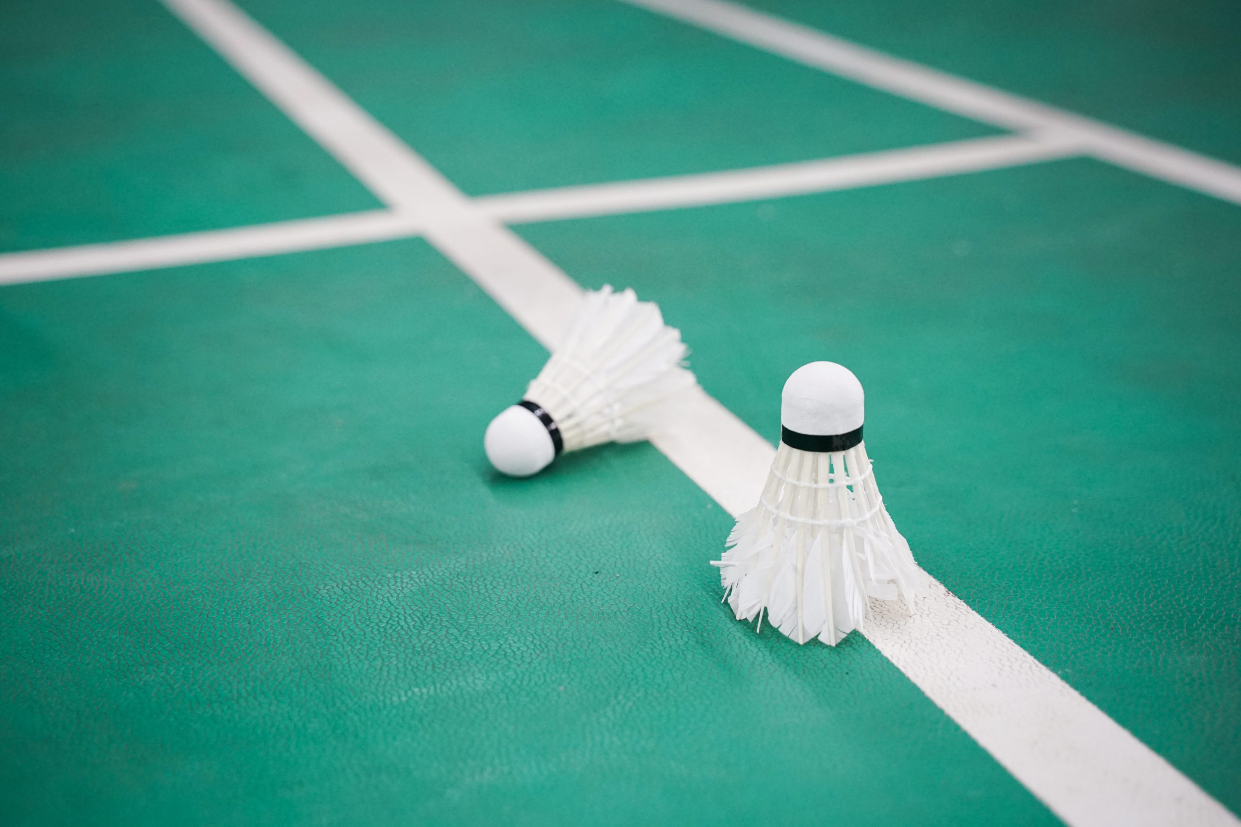 Summer coaching camps